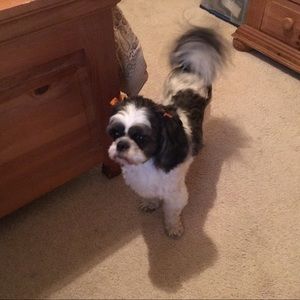 Meet your Posher, Maria